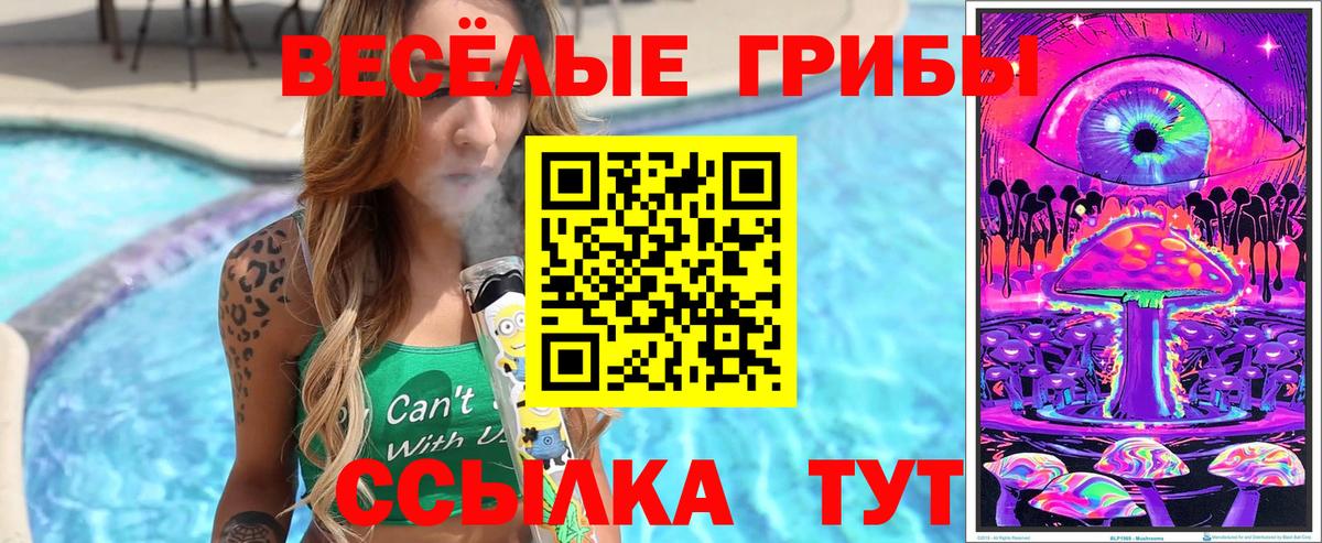Галлюциногенные грибы MAGIC MUSHROOMS Камышлов