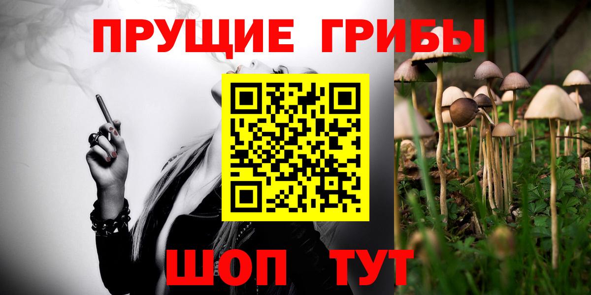 Камышлов  Псилоцибиновые грибы мухоморы  Вход с VPN 
